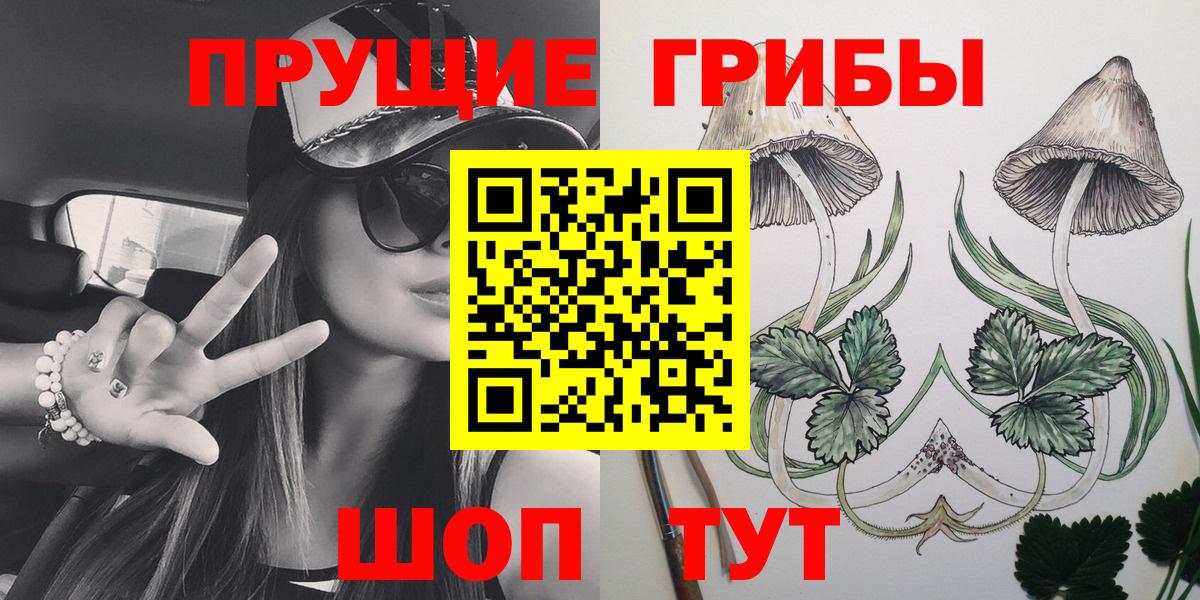 Галлюциногенные грибы Cubensis Гудермес