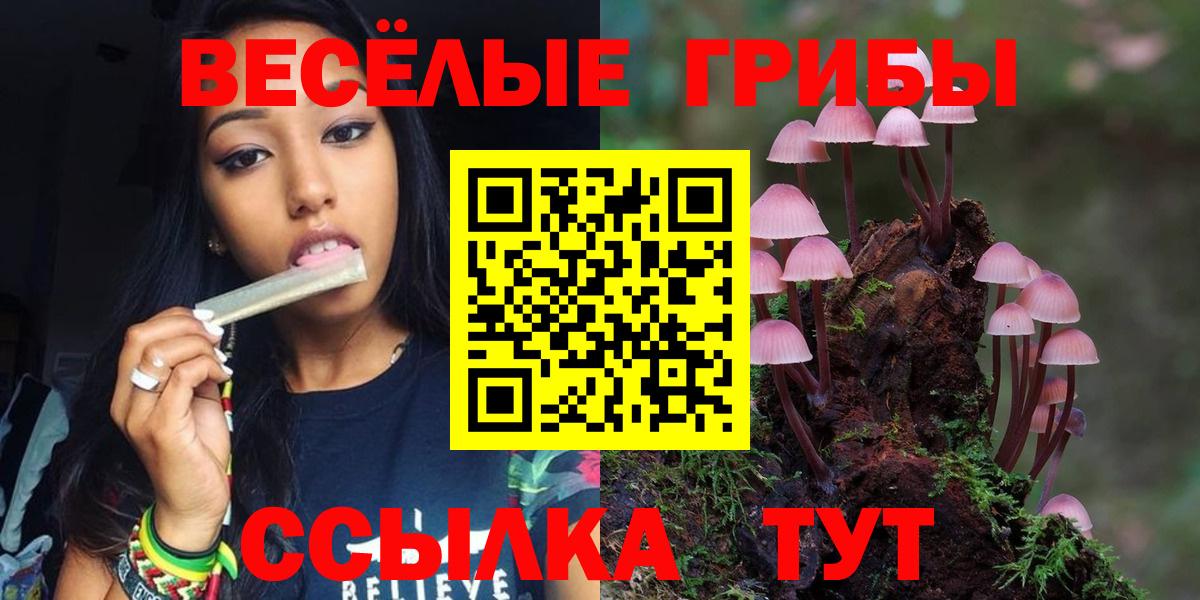 Галлюциногенные грибы Cubensis  Вход с VPN  Гудермес 